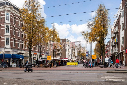 Domselaerstraat, Amsterdam