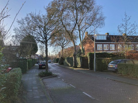 Ruys de Beerenbroucklaan, Amstelveen