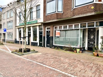 Levendaal, Leiden