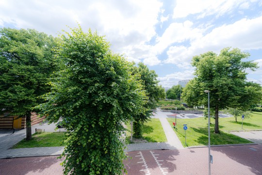 Rustenburgstraat, Apeldoorn